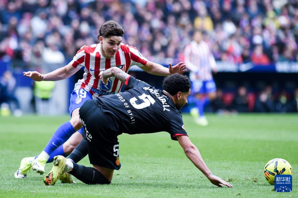 杨瀚森连获拓媒赞美！一人呛声斯普利特：你就没打算让杨末节登场