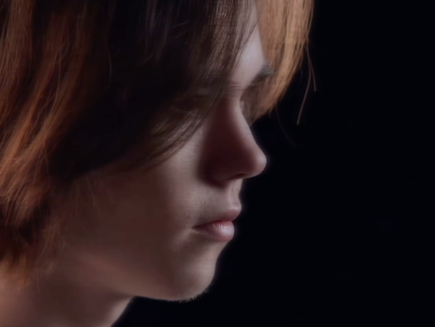 多地举办马 多地举办马